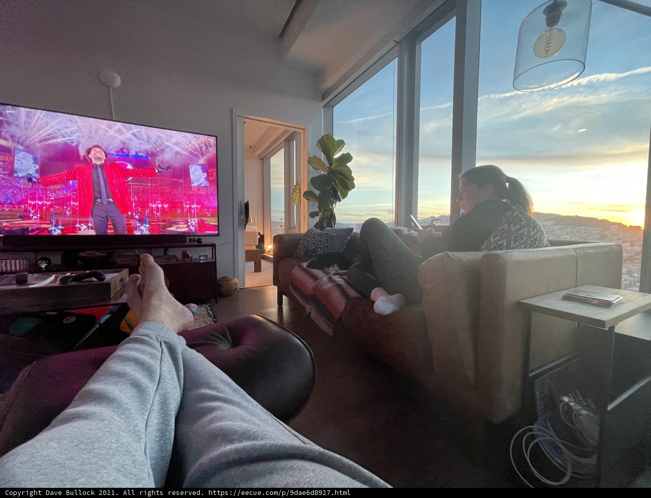 Cozy Couch Potato