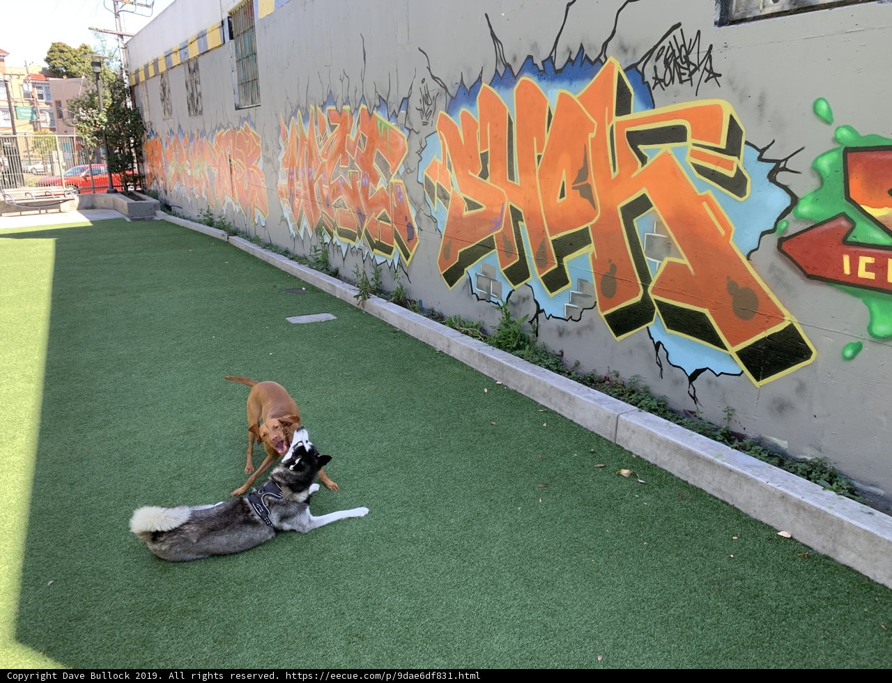 Playtime at the Wall