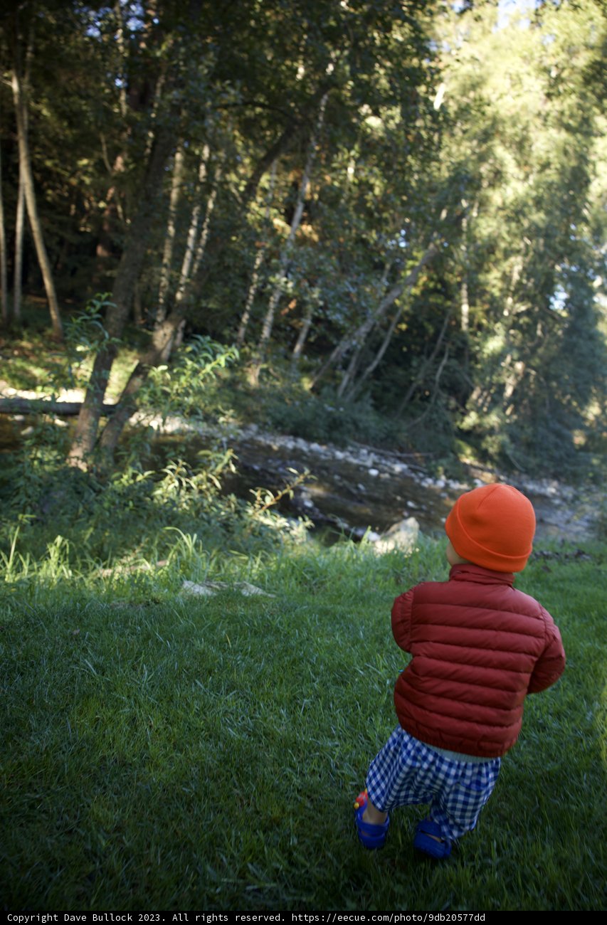 Big Sur Adventure: The Little Explorer