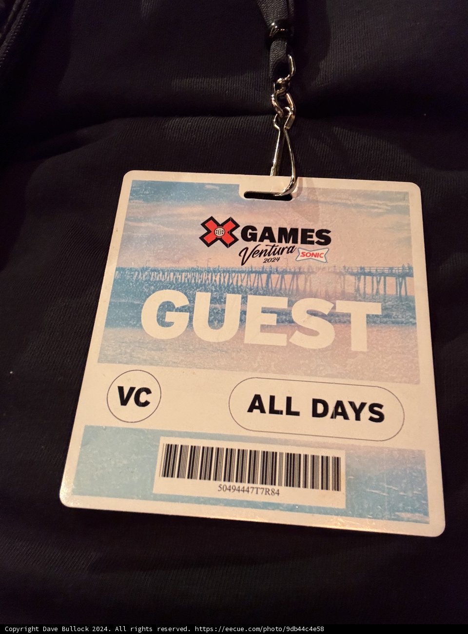 VIP Access Pass