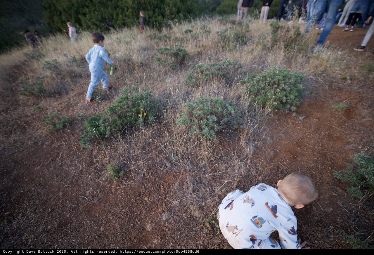 Children Explore Dry Hillside at Mount Diablo Dusk