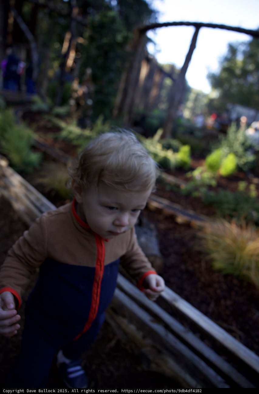 Exploring Nature's Playground