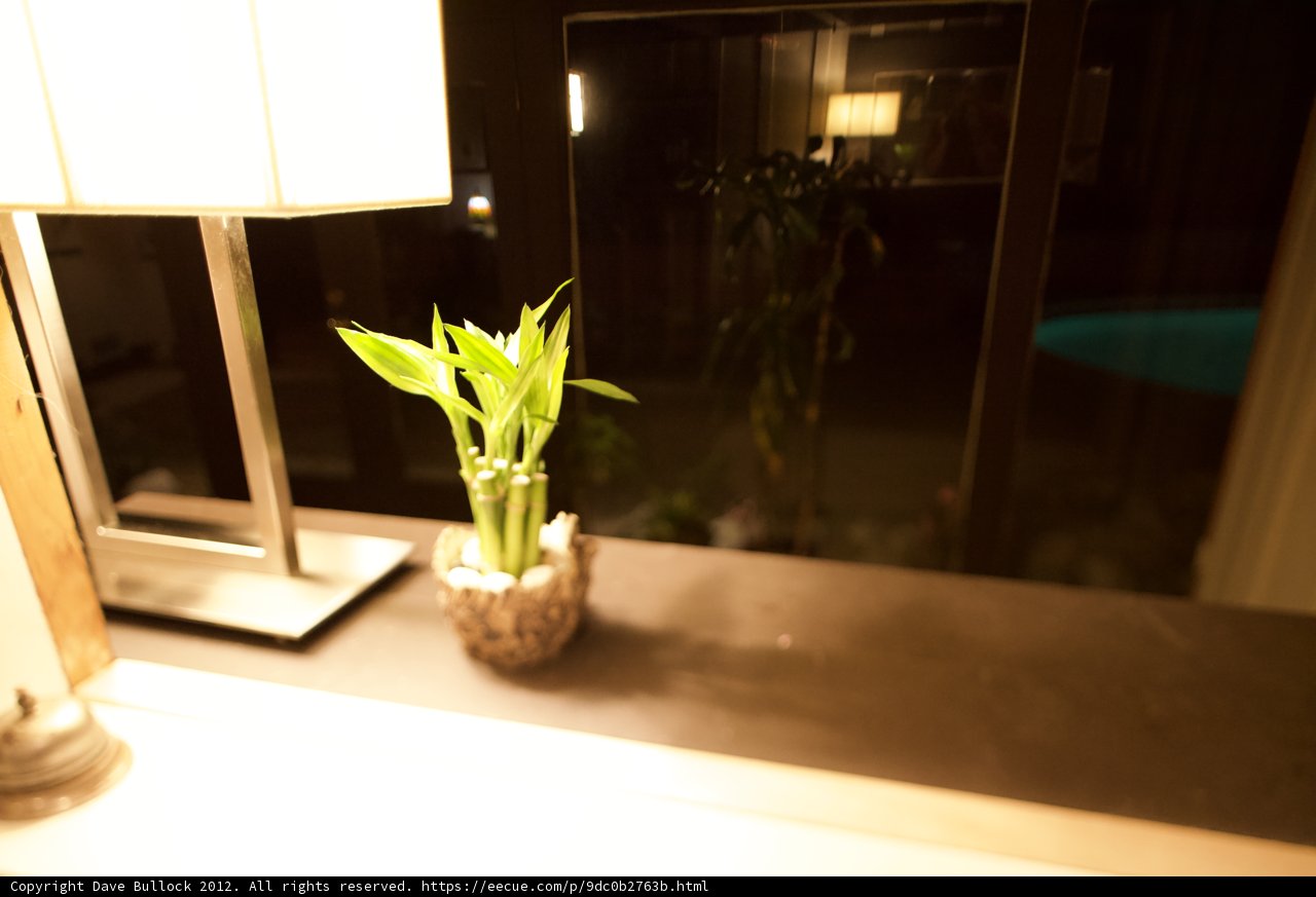 Flower Arrangement in a Vase on a Table