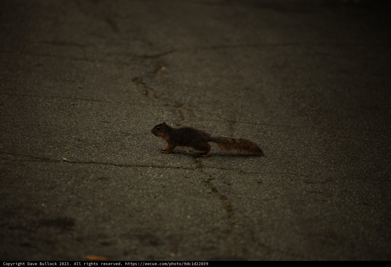 Urban Stroll