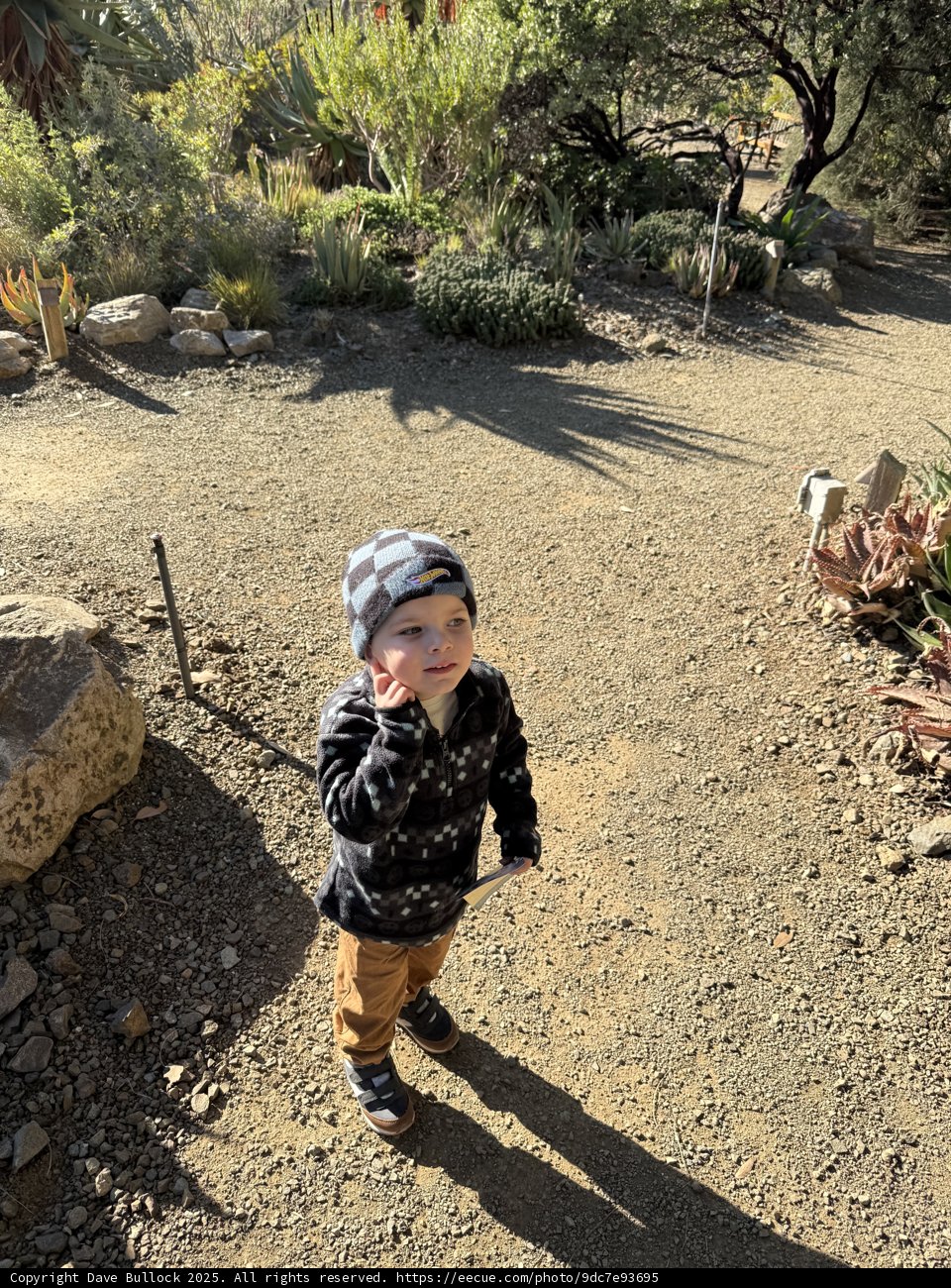 Exploring the Garden