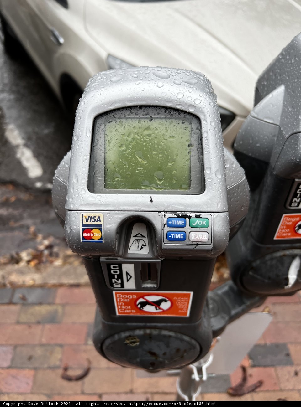 Metered Parking