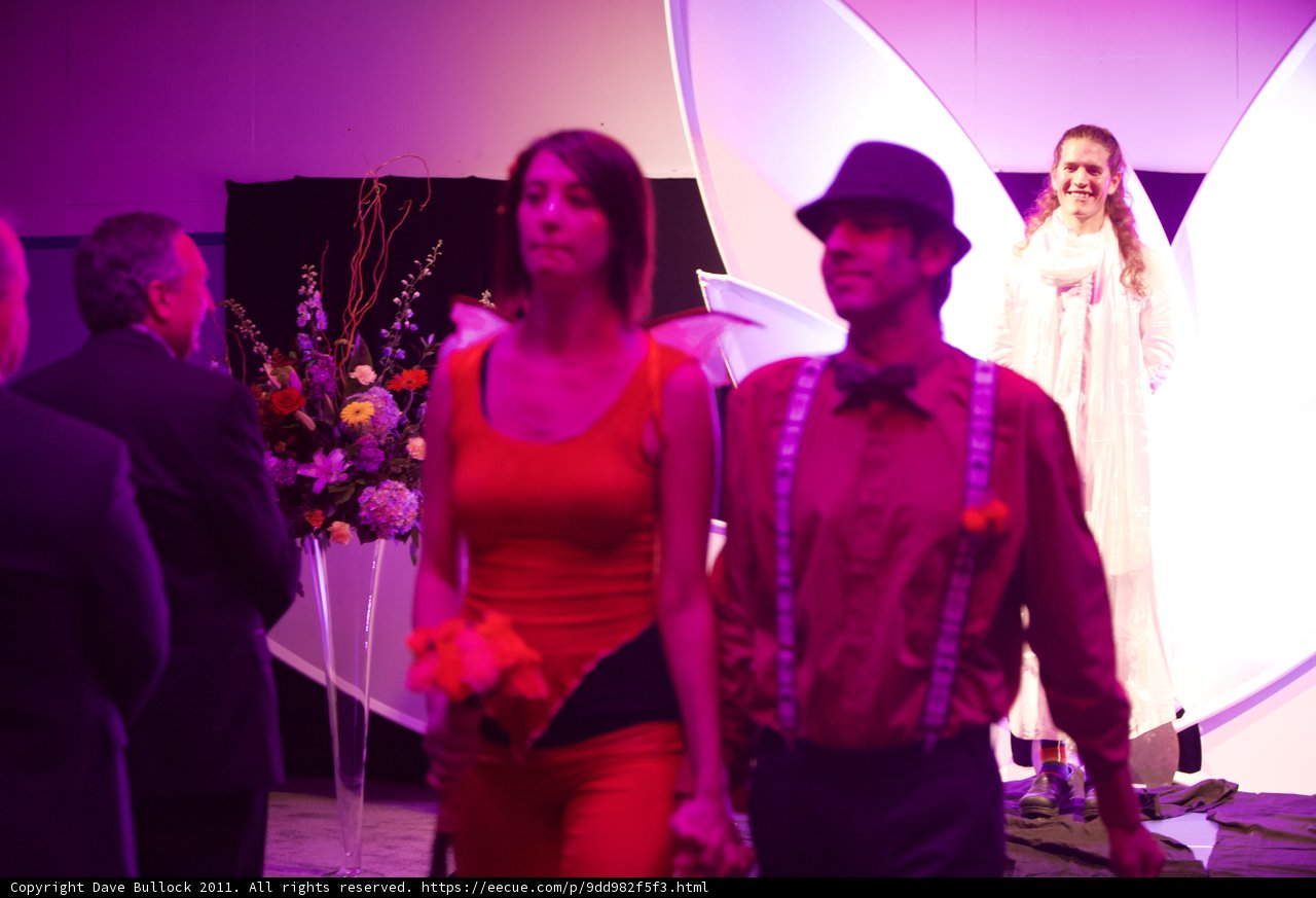 Elegant Runway Couple