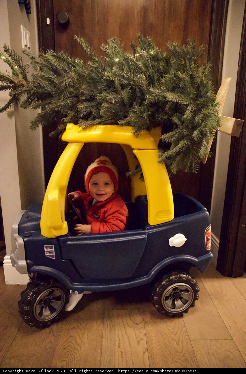 Wesley's Festive Ride