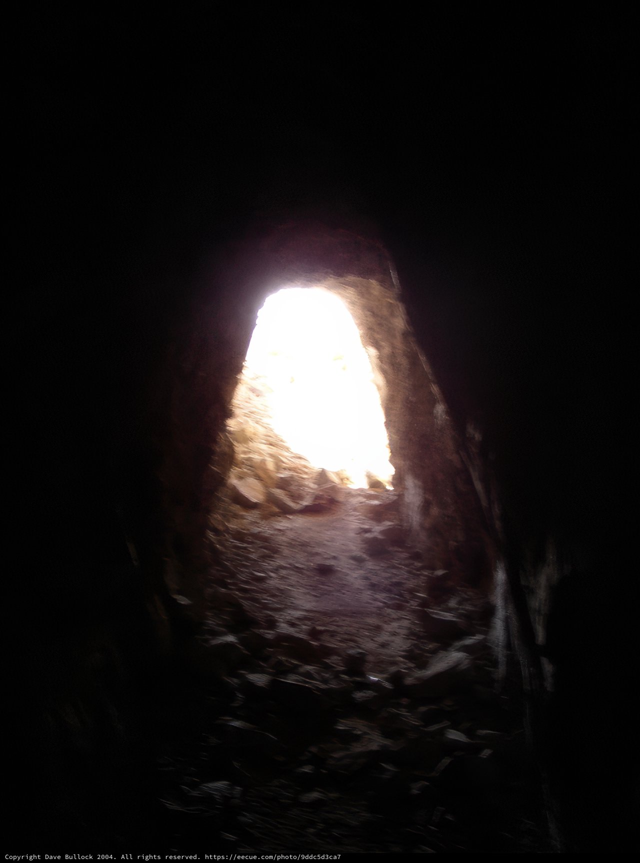 Illuminating the Darkness