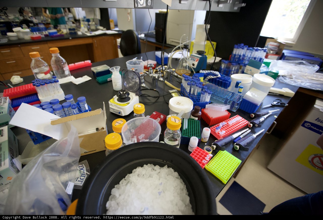 Busy Lab Table