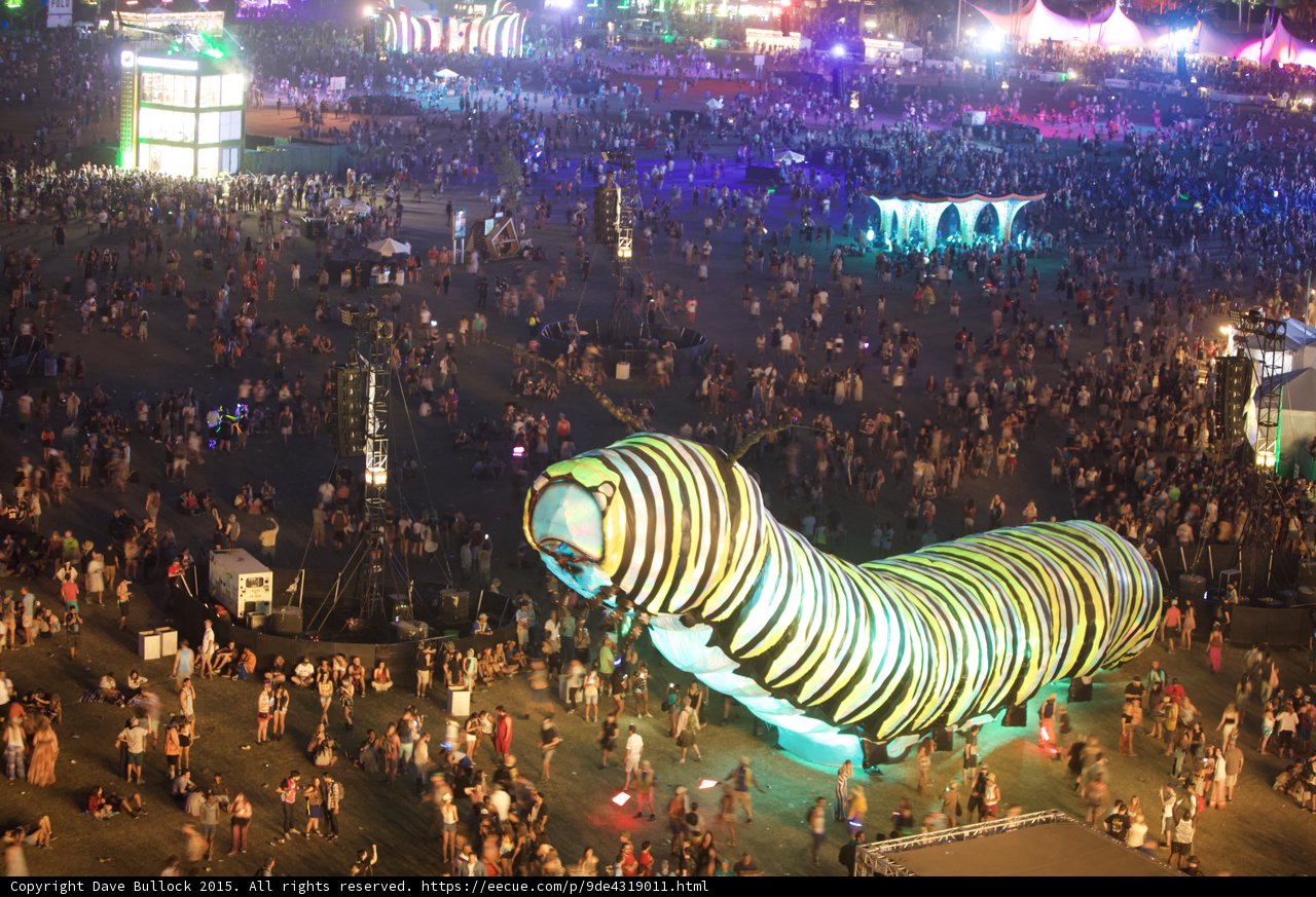 Insect Carnival