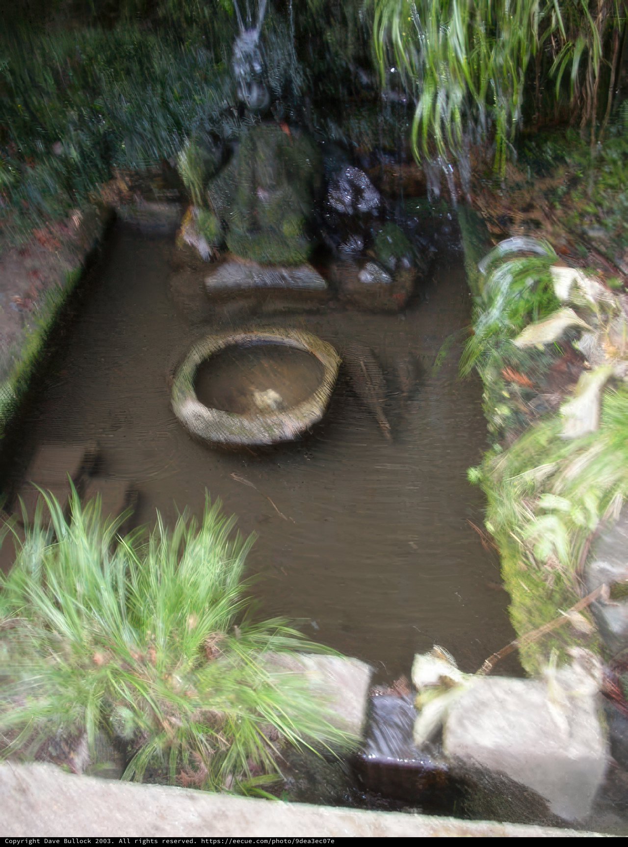 Tranquil Pond at Kyoto City Hall