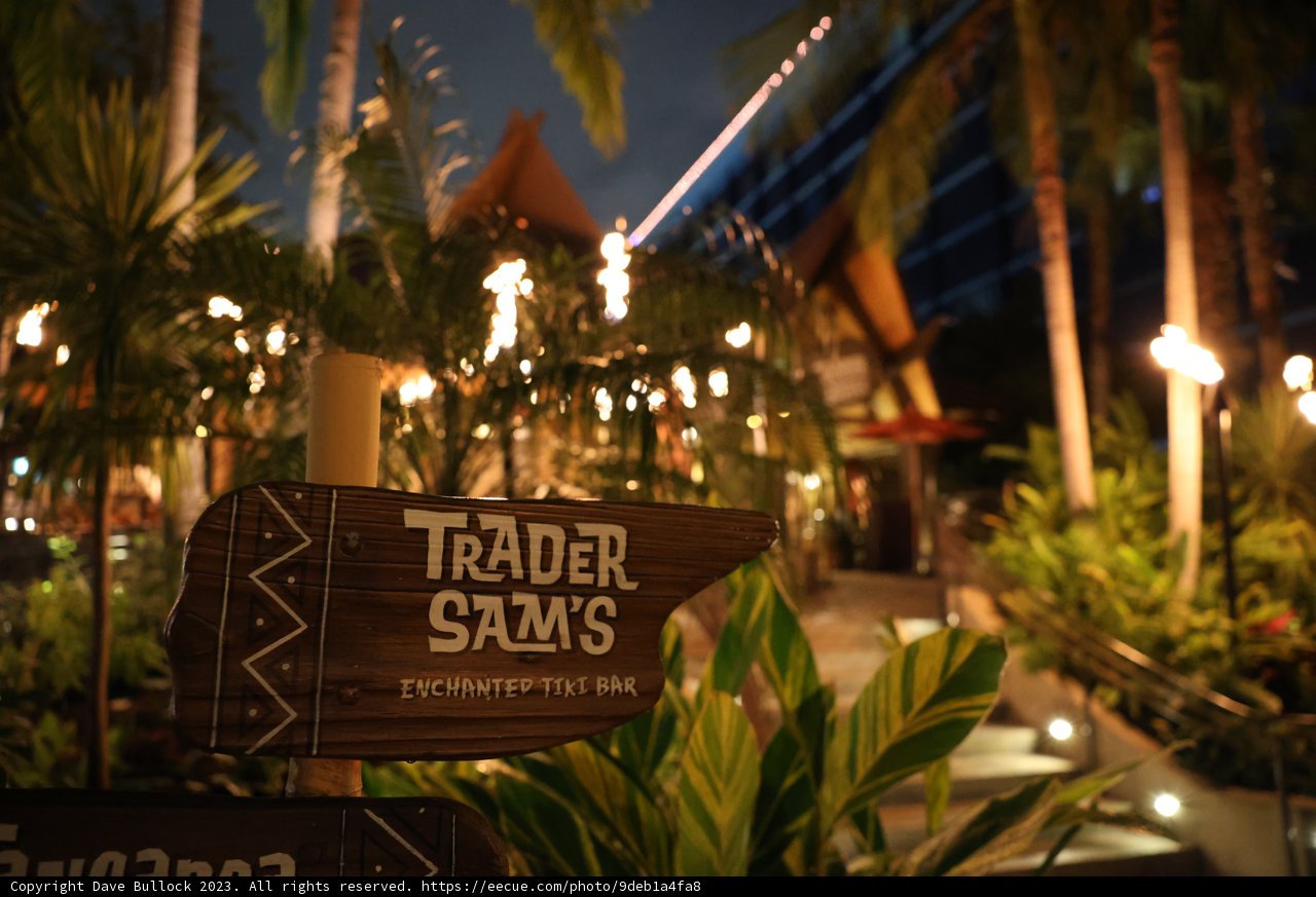 Trader Sai's Oasis in Disneyland Hotel