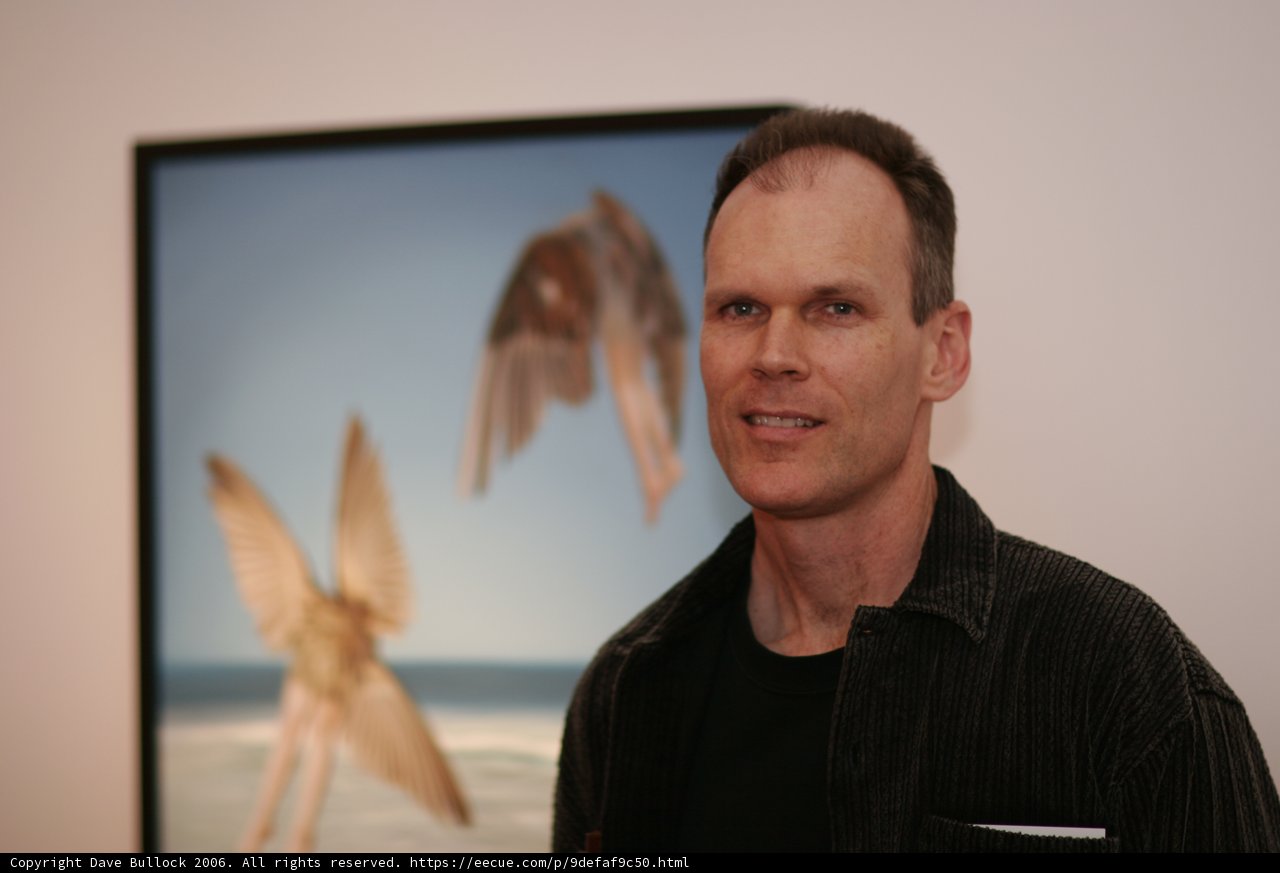 Bird-Watching in the Art World