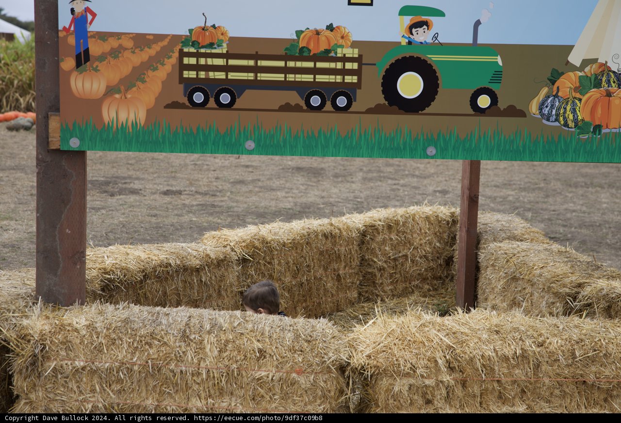 Autumn Adventures in Walnut Creek