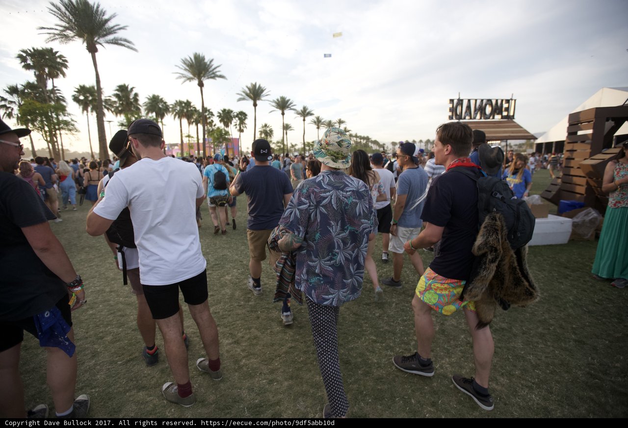 A Sunny Day at Coachella