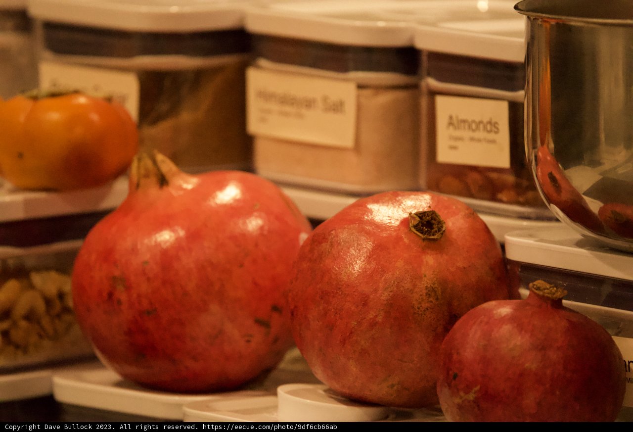Pomegranate Collection 2023