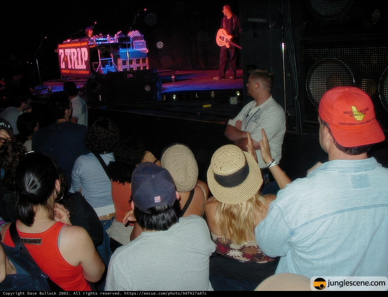 Concert-goers enjoy the show
