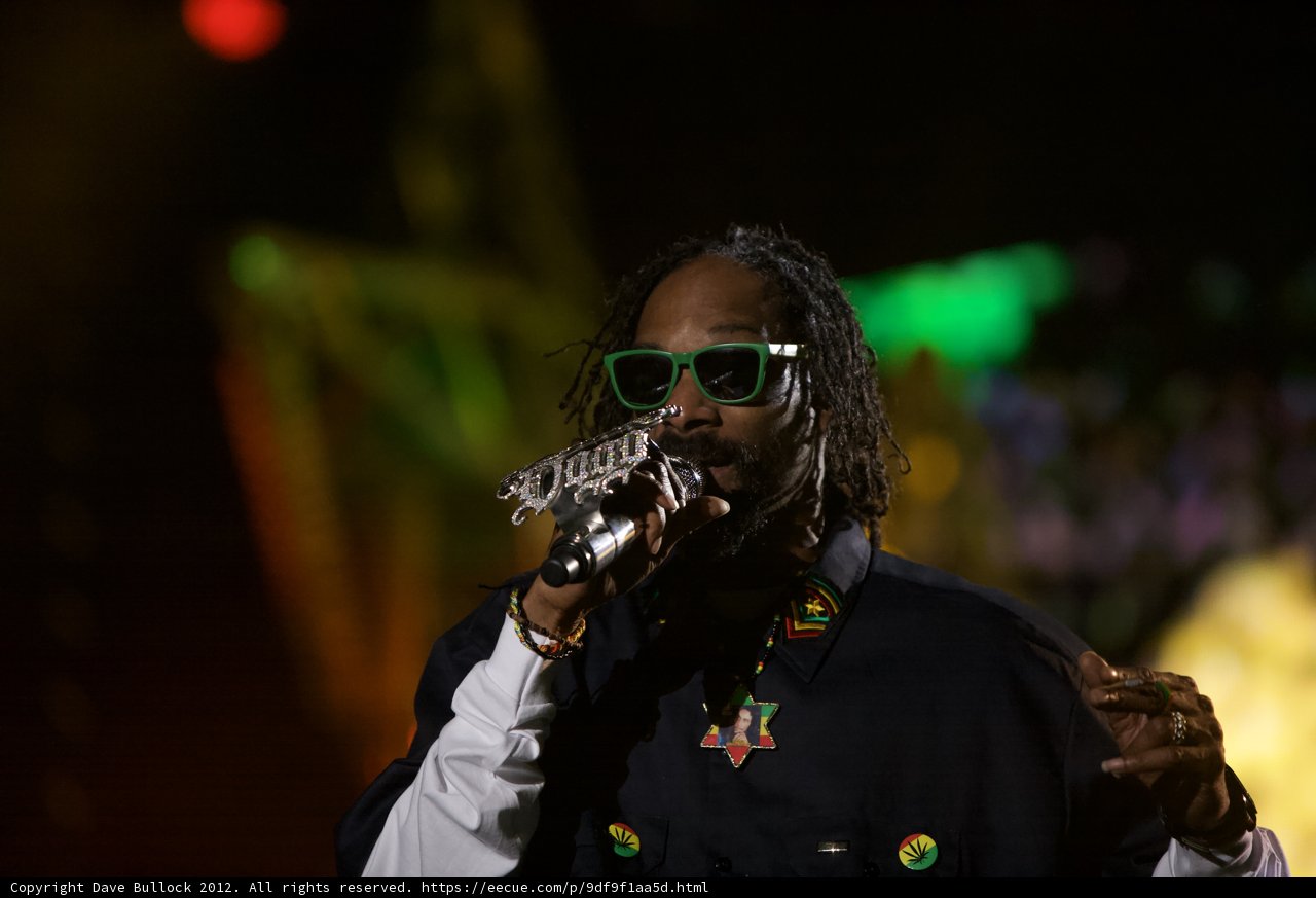 Snoop Dogg steals the show at the 2014 Grammy Awards