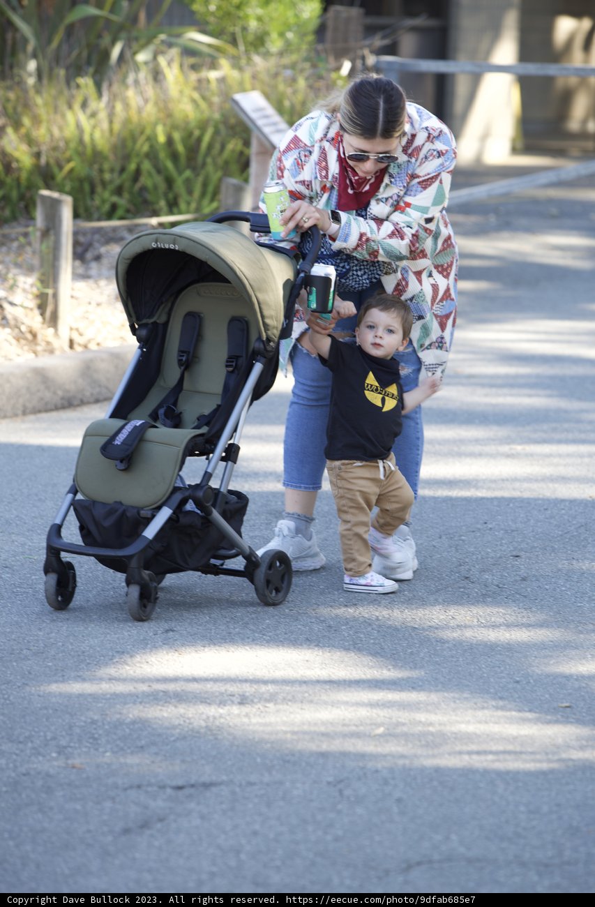 Stroll at the SF Zoo: Exploring Urban Nature