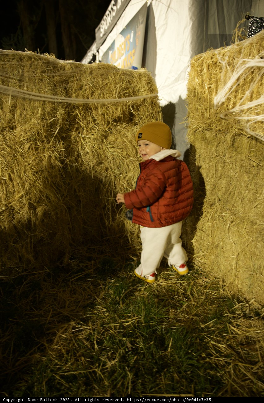 Countryside Charm: A Doll's Halloween Adventure
