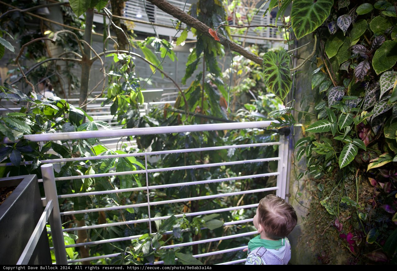 Intrigue in the Greenhouse: A Young Explorer