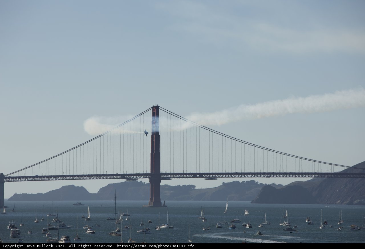 Soaring High Over Golden Gate