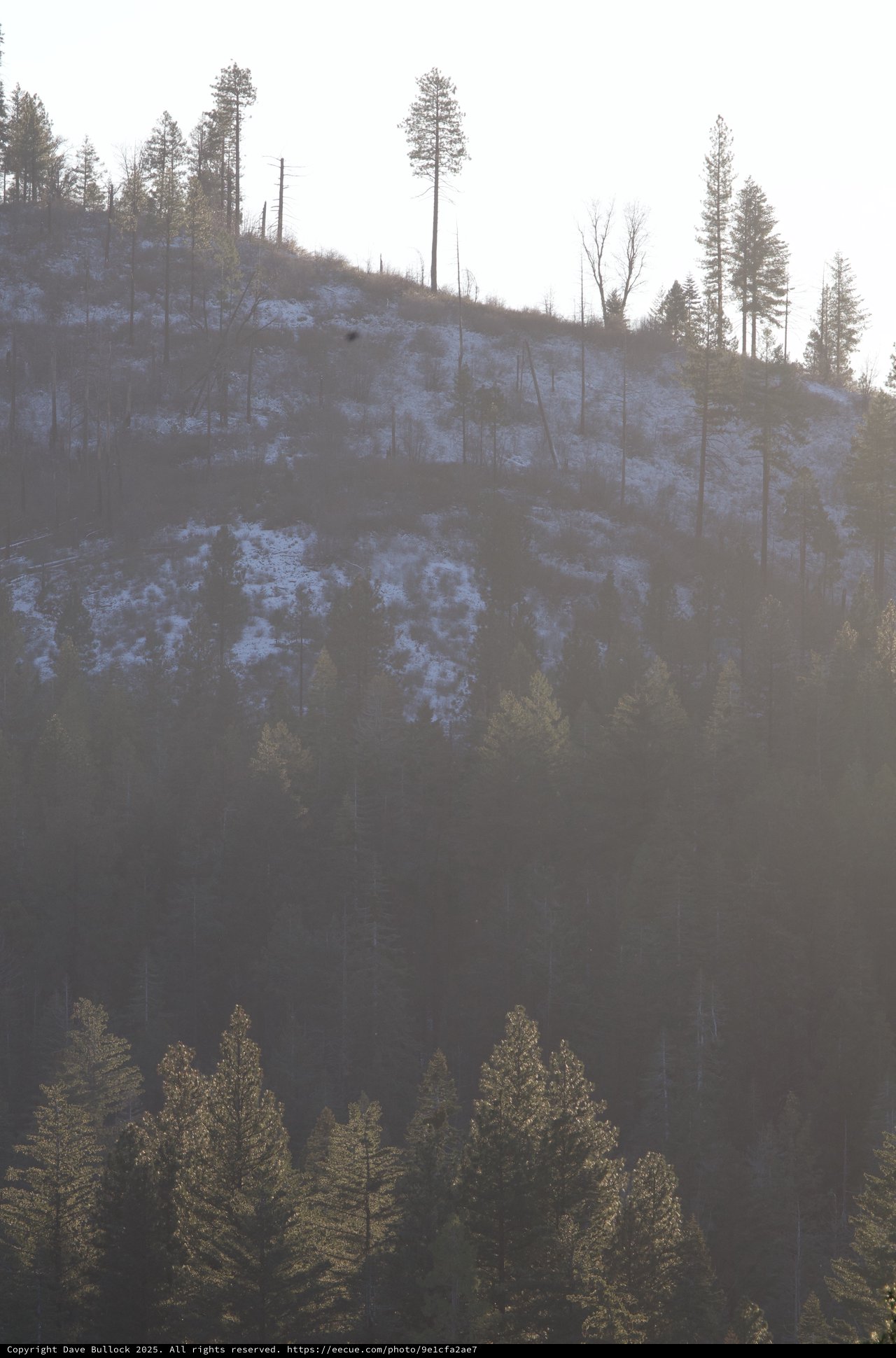 Misty Winter Morning on Snowy Mountain Slope