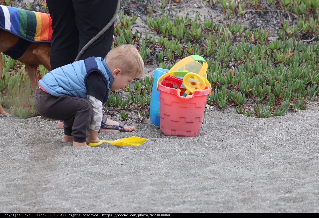 Toddler Discovers Sand Treasures at the Beach