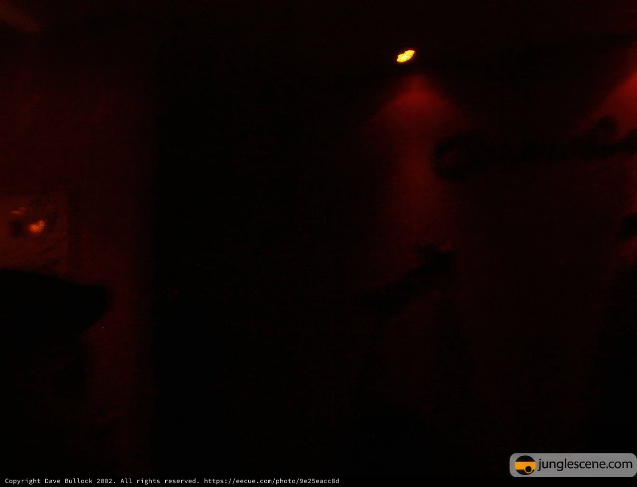 Red spotlight in the night club