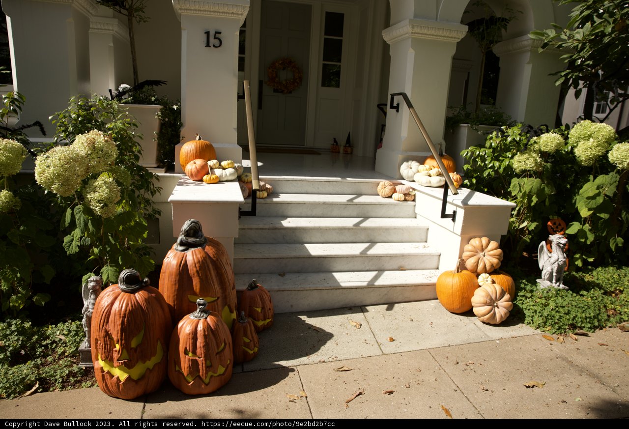 Halloween Haven in the Heart of San Francisco