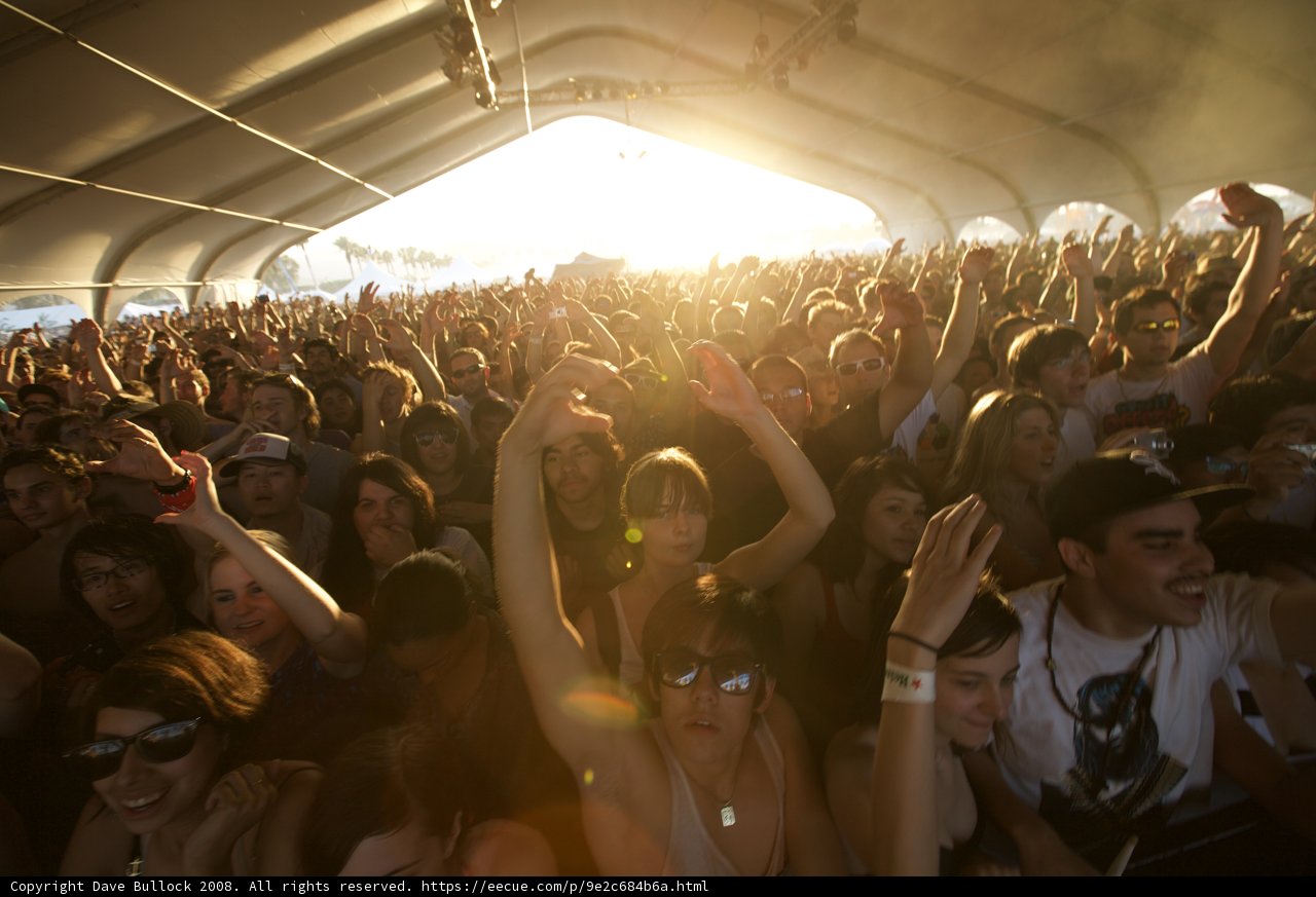 Hands Up in the Crowd at Coachella 2008