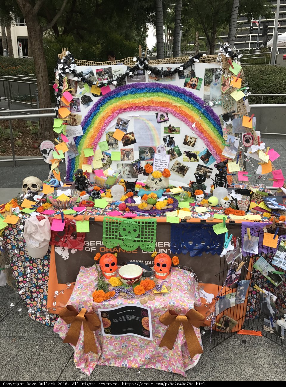 Rainbow Table at the Civic Center Mall