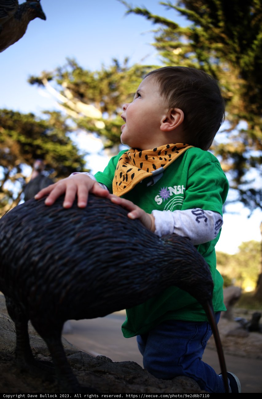 A Young Explorer's Fascination