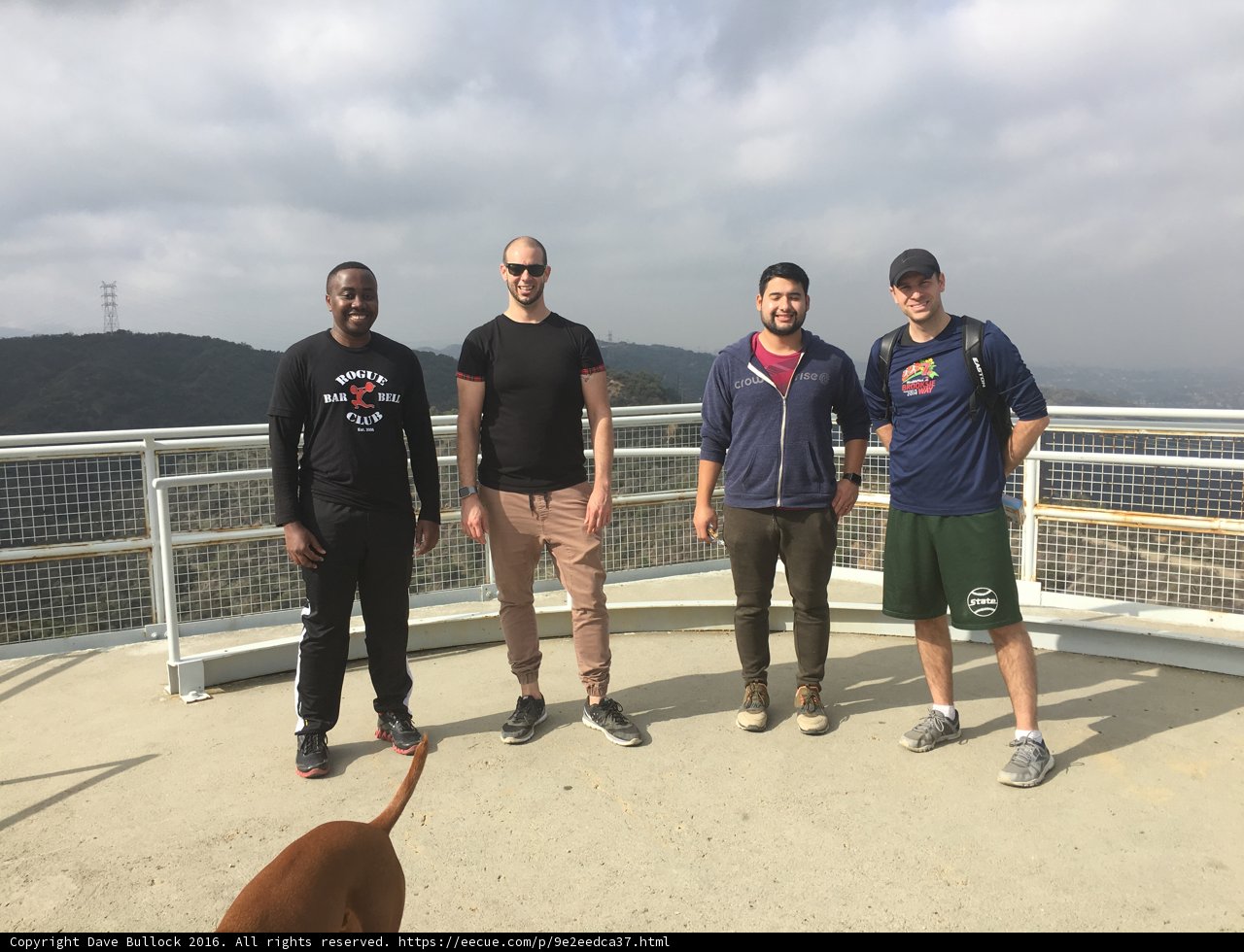 Four Men and a Dog Enjoying the View