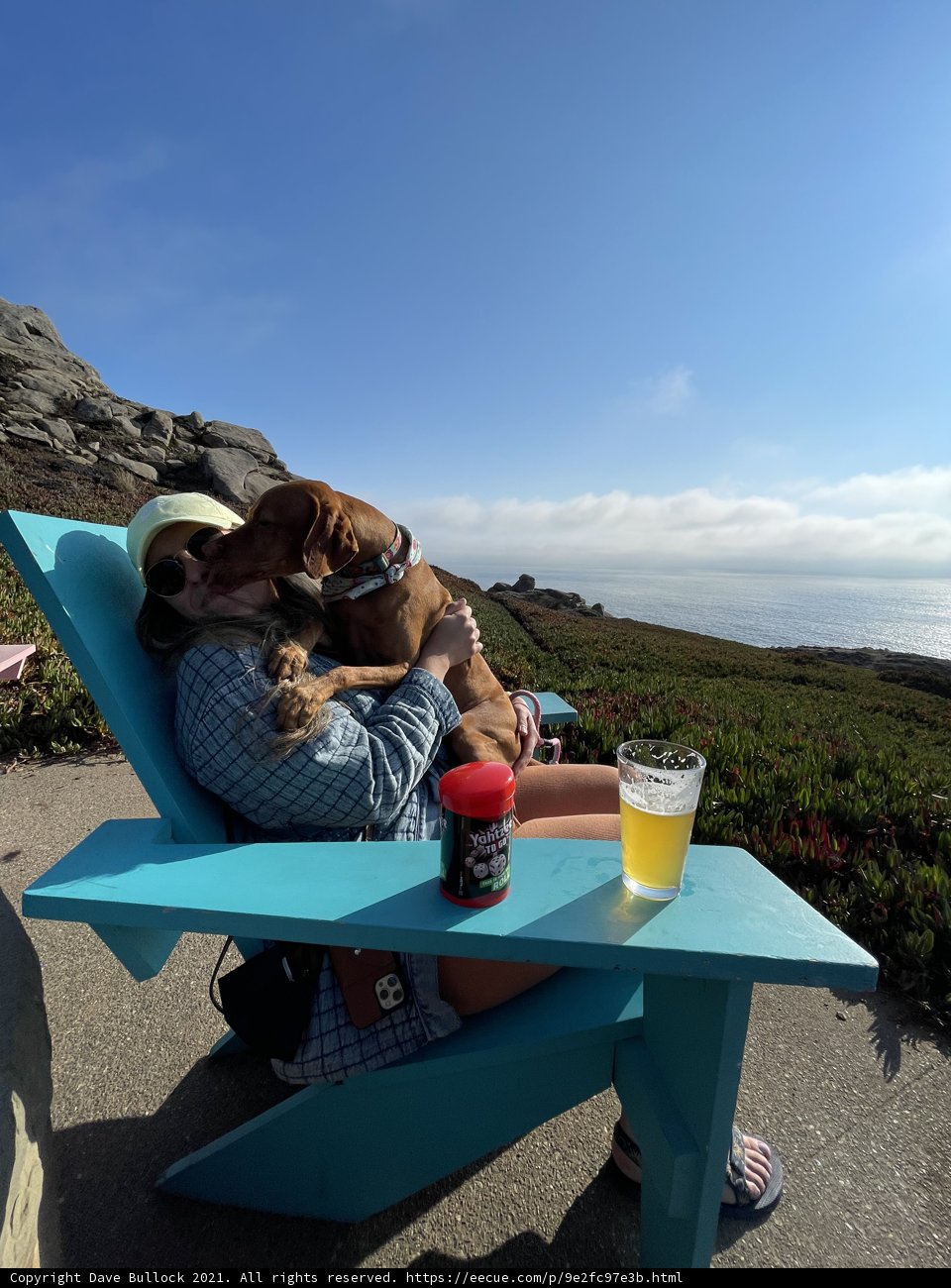 Summer Fun with a Furry Friend