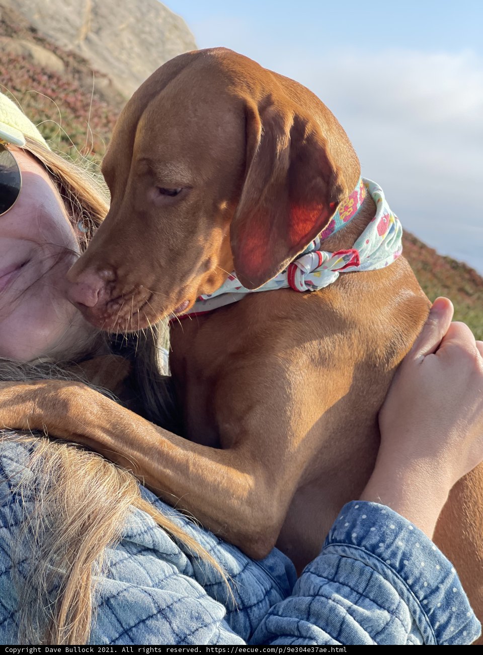 Woman and Her Furry Companion