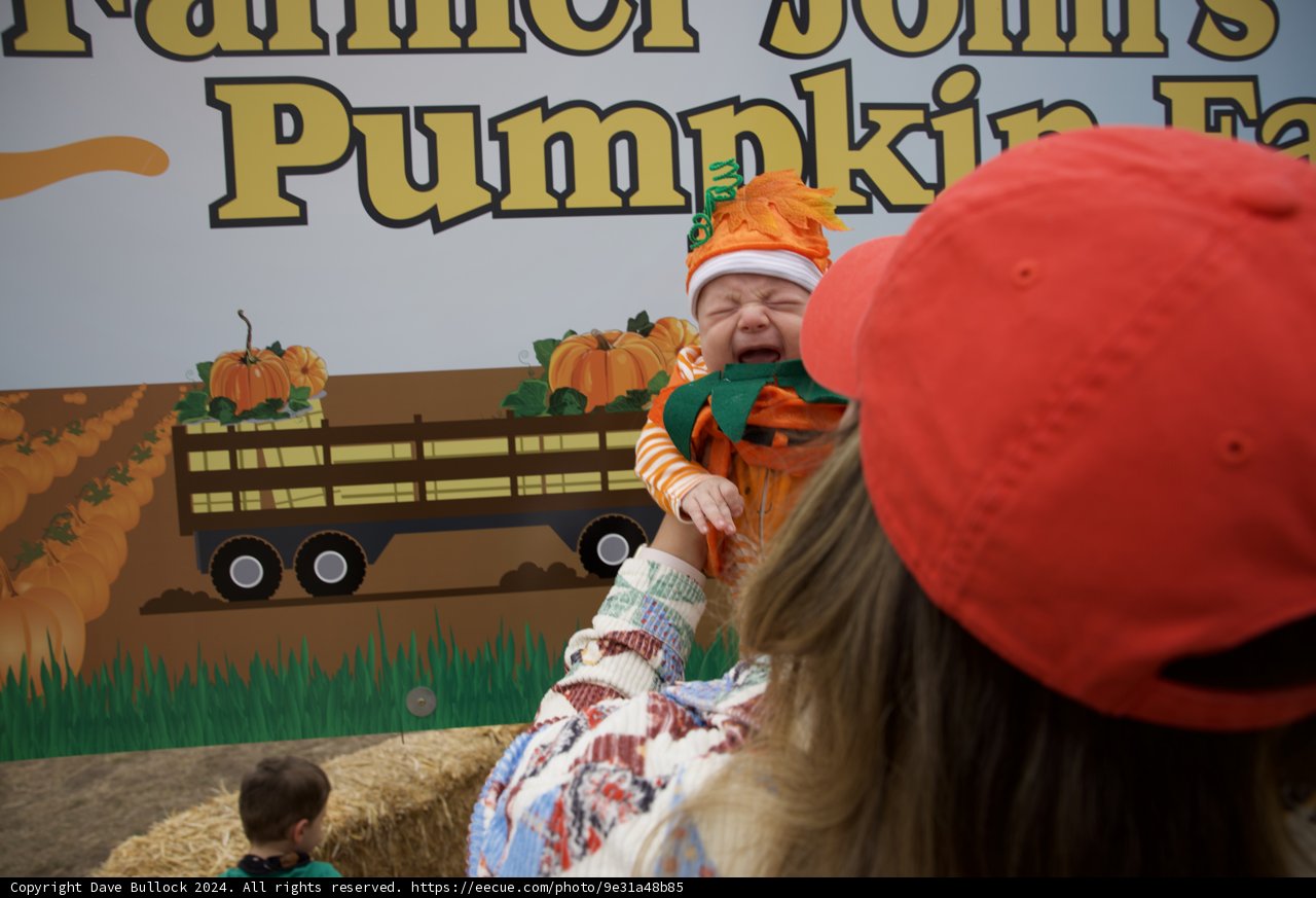 Pumpkin Patch Fun