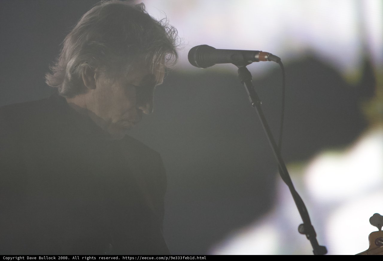 Rocking the Crowd: A Guitarist's Solo Performance