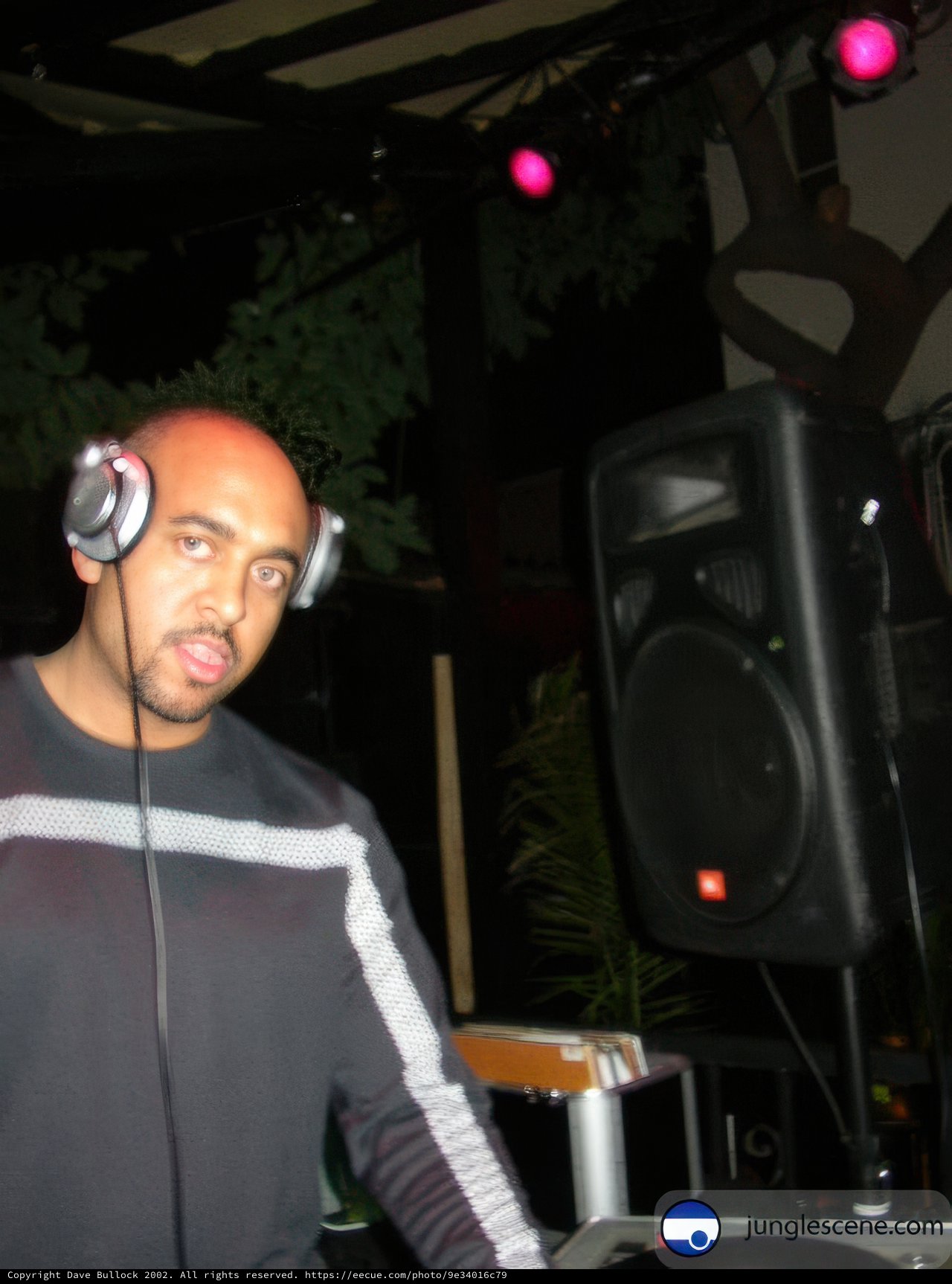 Grooving to the Beat