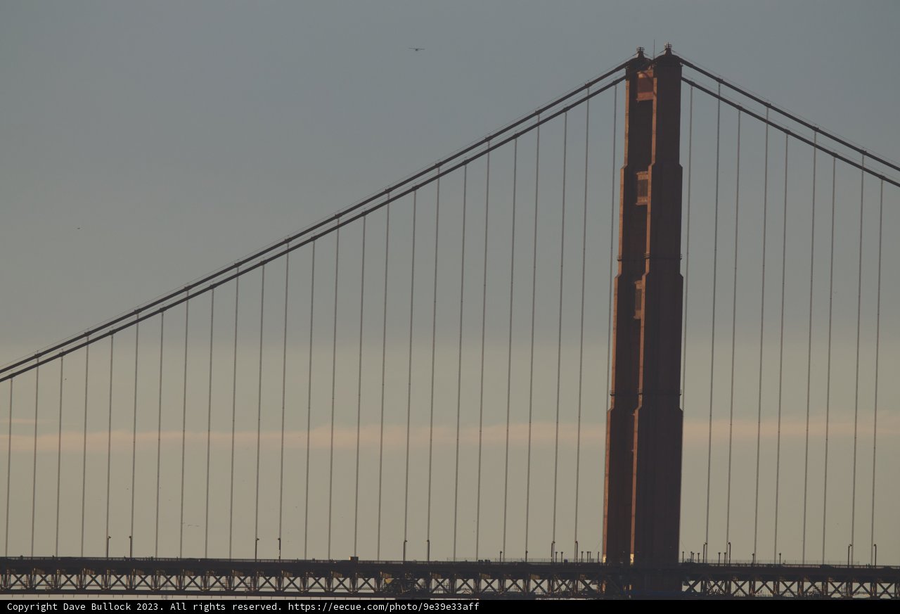 The Majestic Guardian of Fort Mason