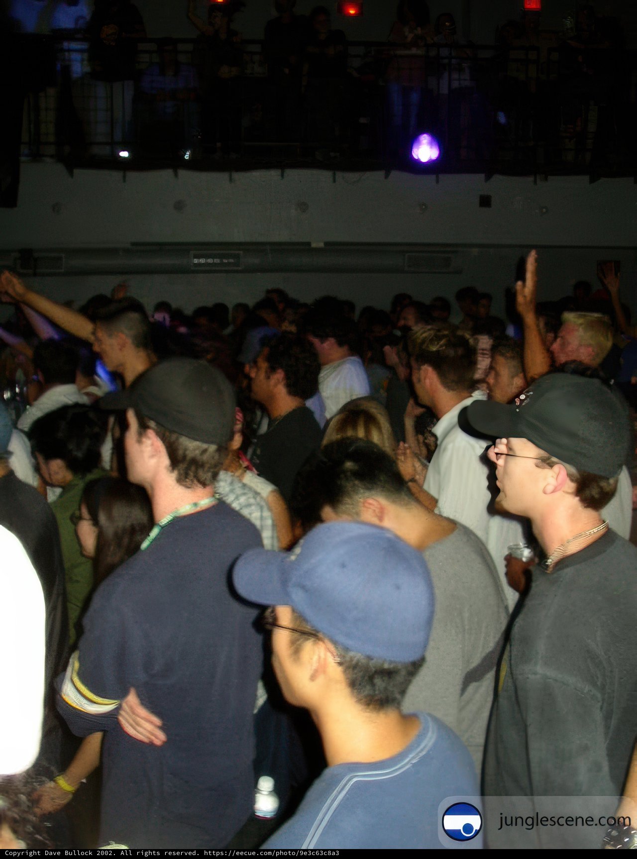 Party in the Nightclub