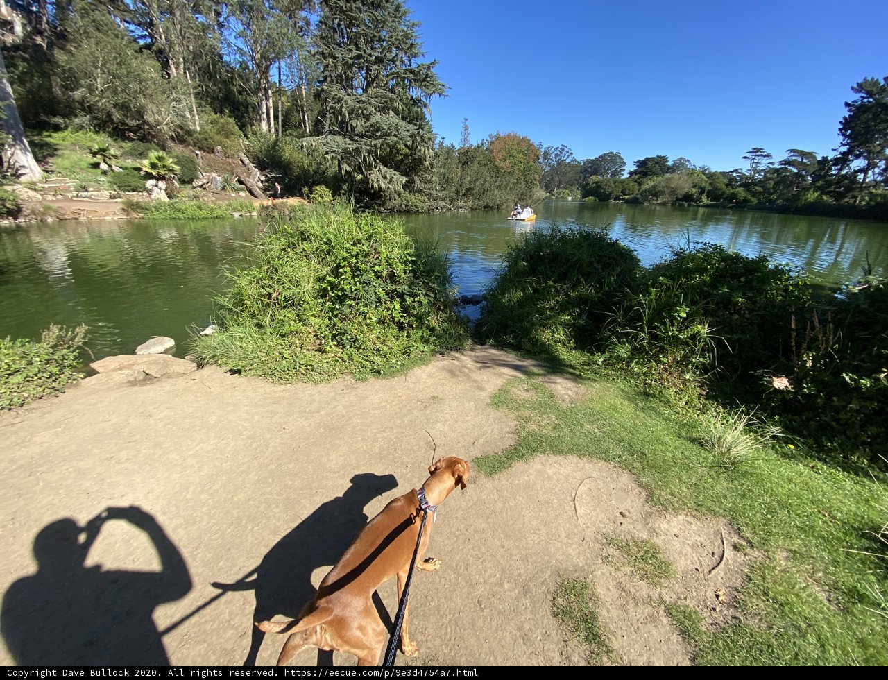 An Adventure with my Furry Companion
