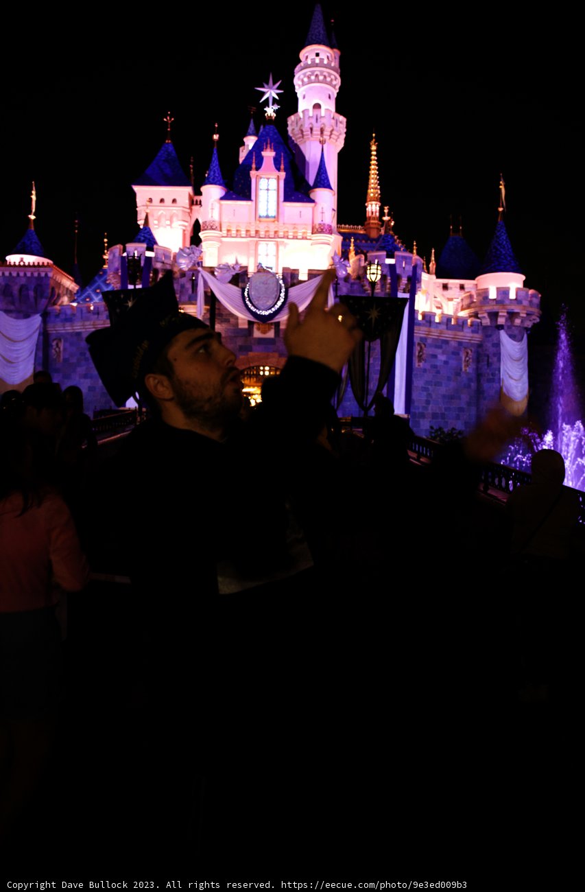 Enchanting Night at the Castle