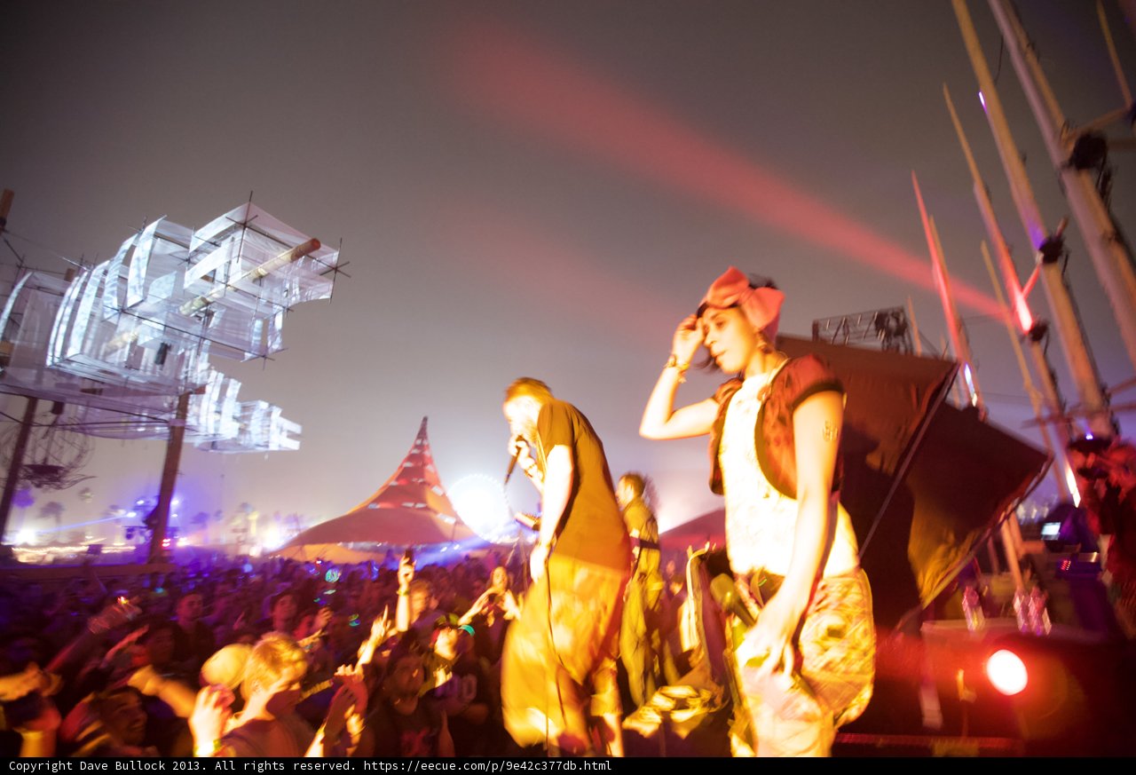 Coachella Crowd Goes Wild