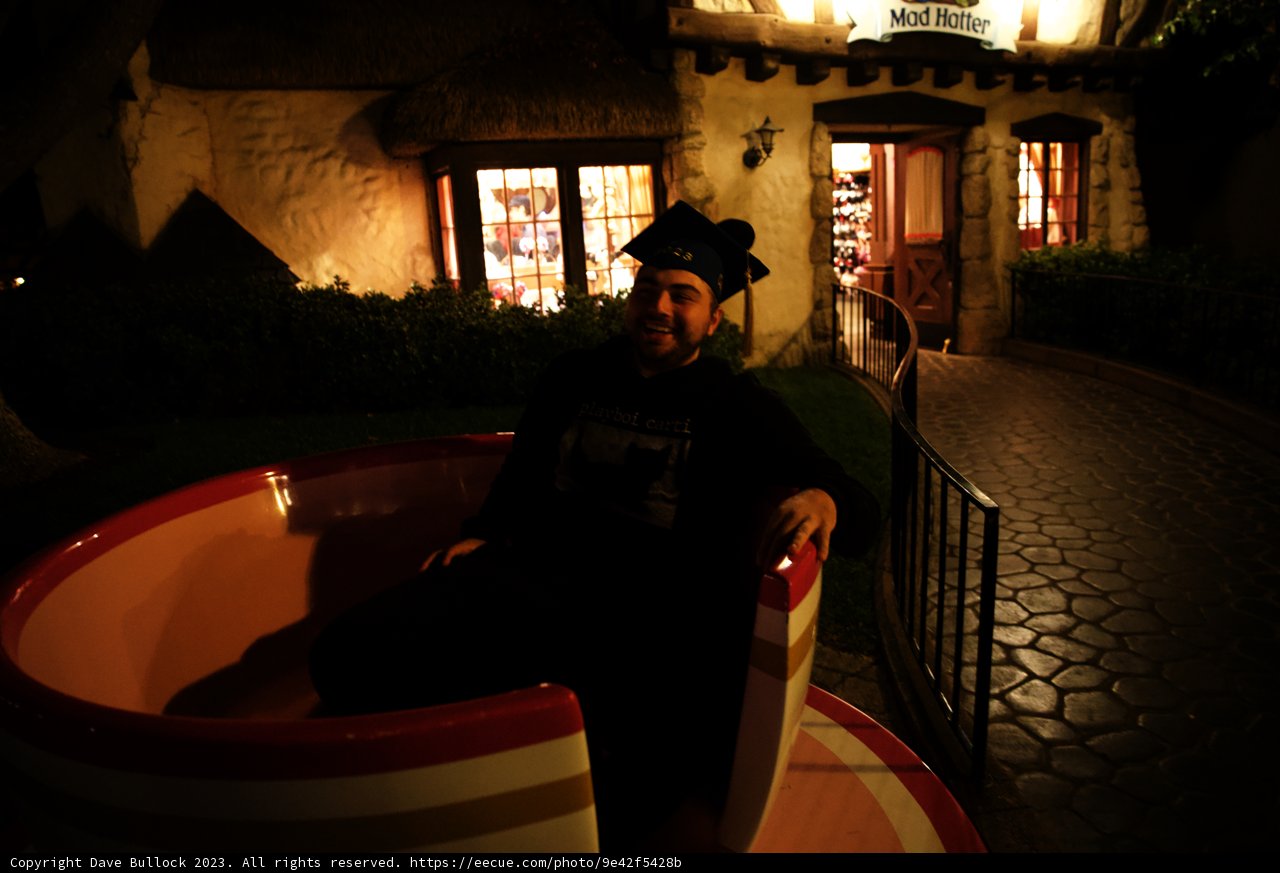 The Magical Teacup Adventure