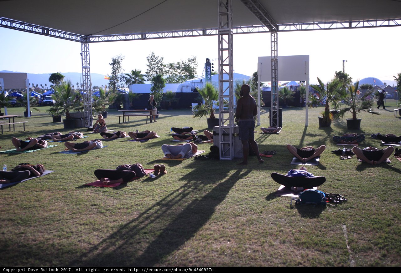 Summer Picnic on the Grass