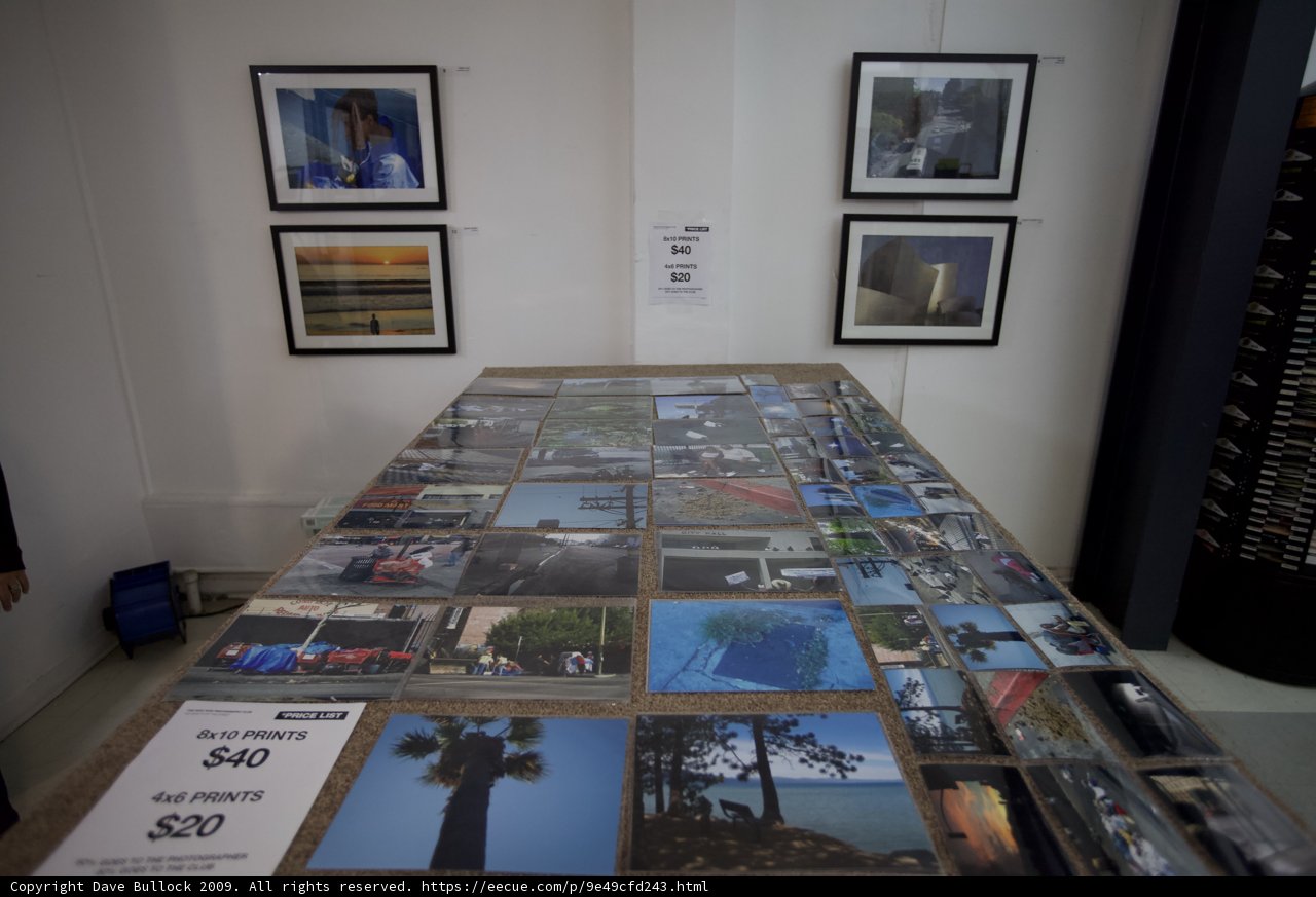 Art Gallery Sale - $50 for Framed Paintings