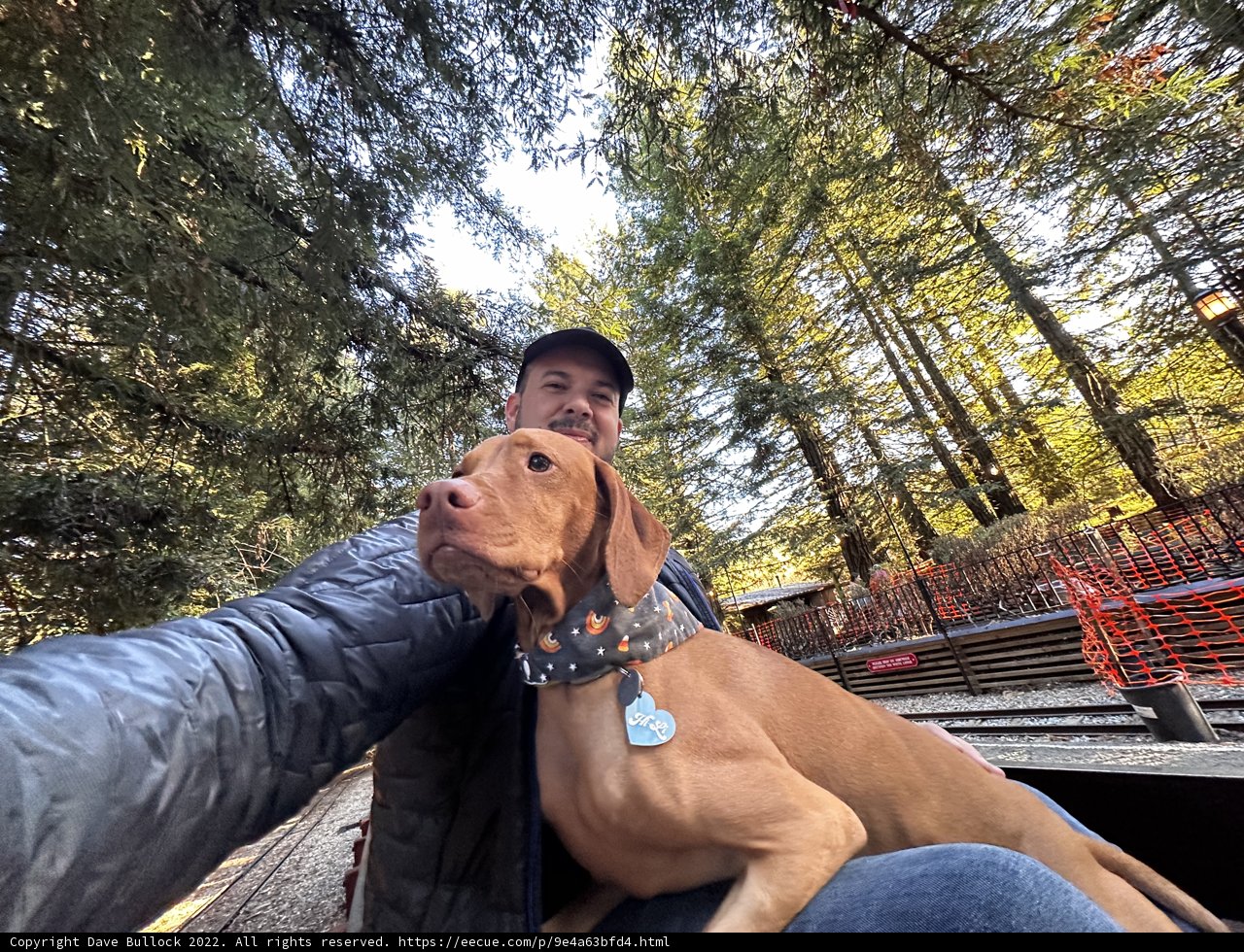 Train Ride with Man's Best Friend