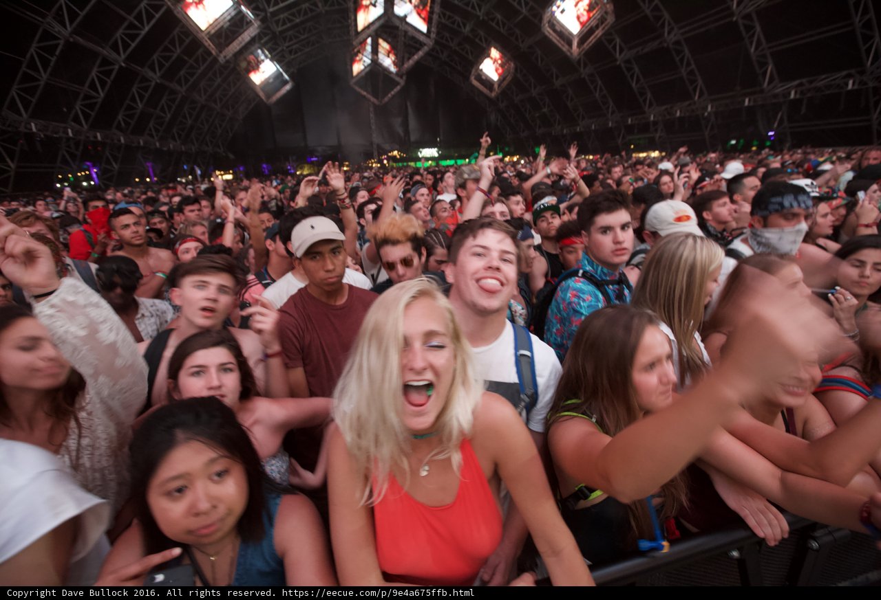 Seb la Frite Rocks the Night at Coachella